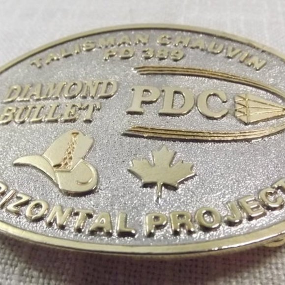 Diamond Bullet PDC Silver with Gold Belt Buckle - Picture 2 of 5